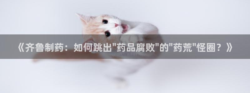 娱乐门徒下载手机版