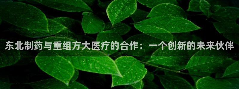 门徒娱乐下载手机版最新版苹果
