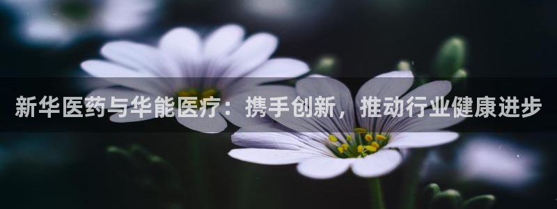 娱乐门徒免费下载手机版