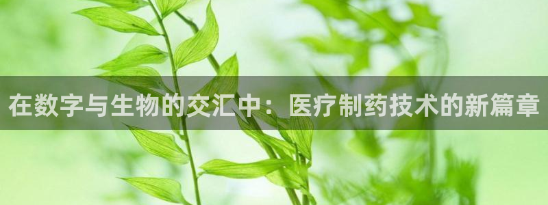门徒娱乐平台安装方法