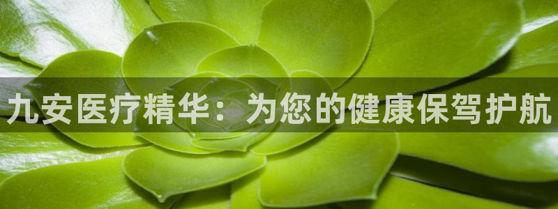 门徒娱乐周333OO