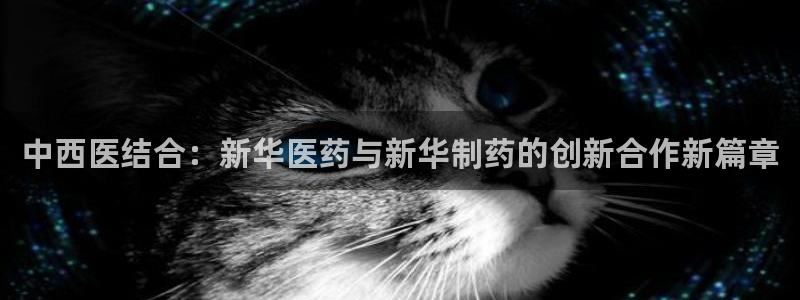 门徒娱乐属于什么系列