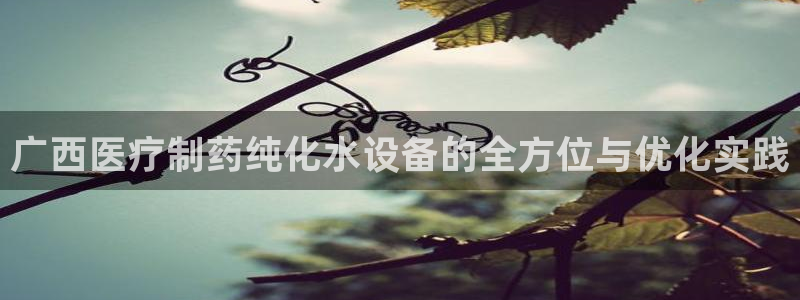 门徒娱乐平台登录官网