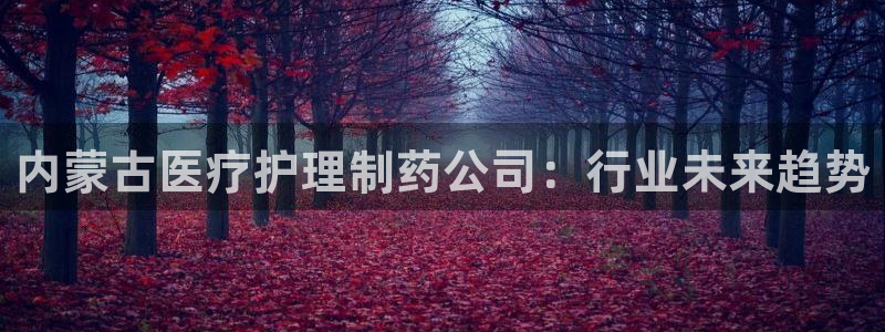 门徒娱乐成功案例有哪些