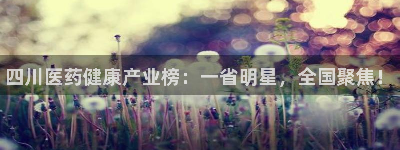 门徒娱乐官网登录不了吗