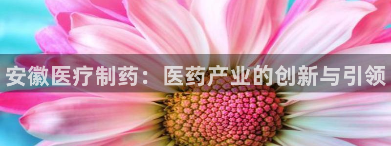 门徒娱乐圈主管的是谁啊