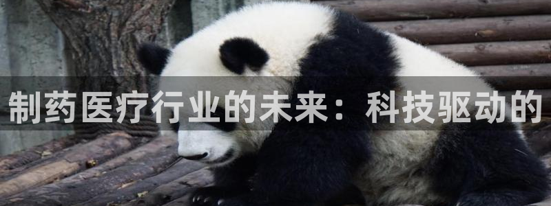 门徒娱乐场所叫什么名称