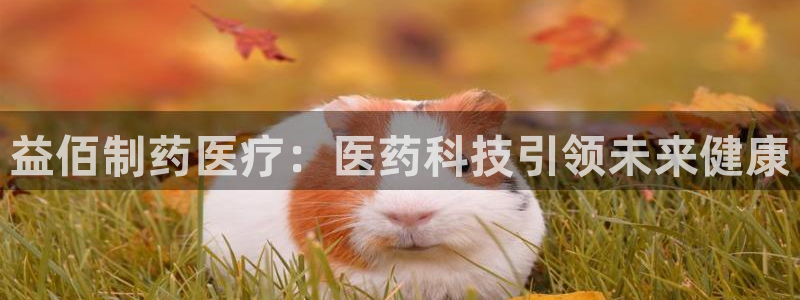 门徒娱乐是干啥的啊知乎
