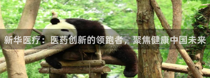 门徒娱乐他37997筘