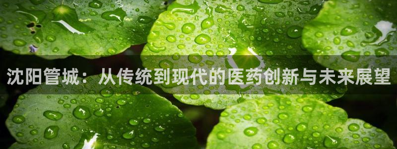 门徒娱乐彩票