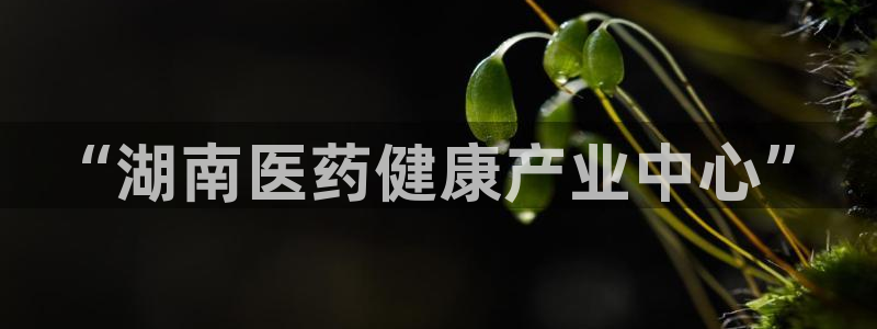 门徒娱乐能挣钱嘛视频