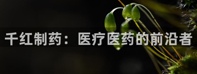 门徒娱乐压大小