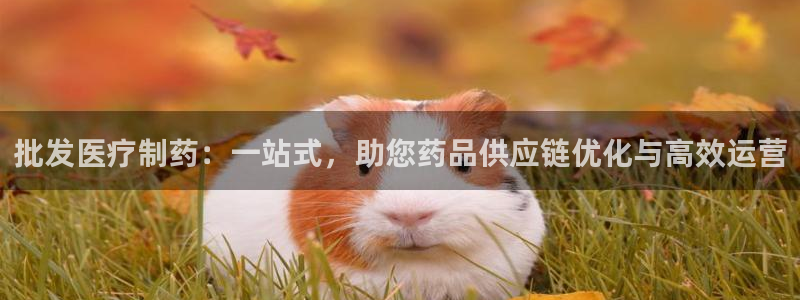 门徒娱乐团队介绍语