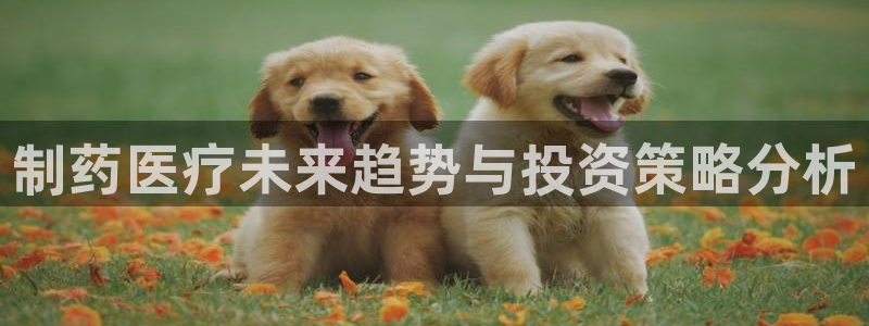 门徒娱乐网站官网下载