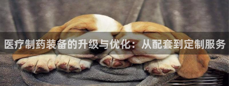 门徒娱乐网站下载安装