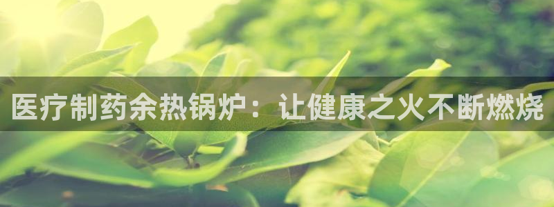 门徒娱乐用户评价与反馈