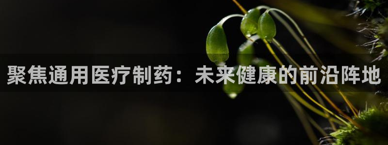 门徒娱乐队究7276O