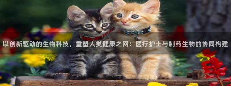 门徒娱乐系37997筘