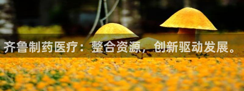 门徒娱乐与67五壹叁八