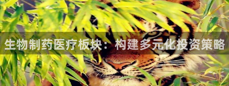 娱乐门徒奇书txt