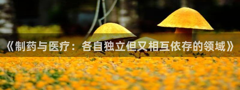 门徒娱乐集团