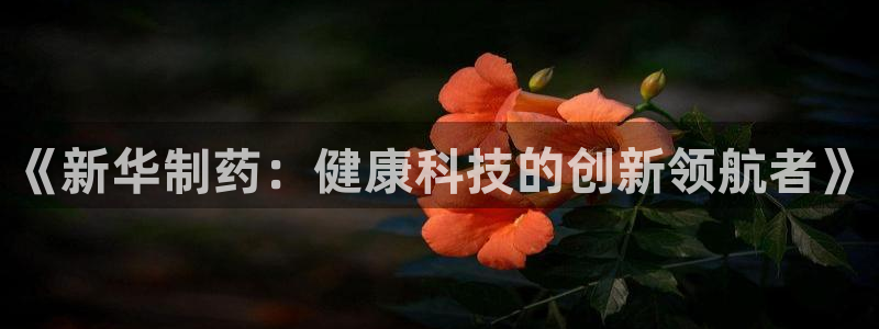 门徒娱乐做什么的