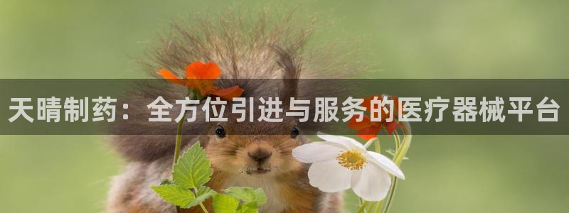 门徒娱乐主管所去判官333OO
