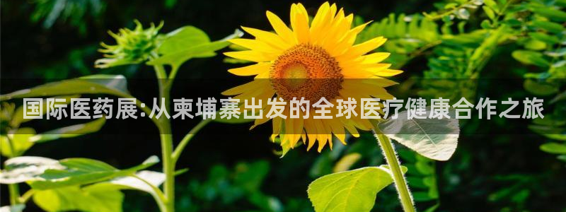 门徒娱乐联盟