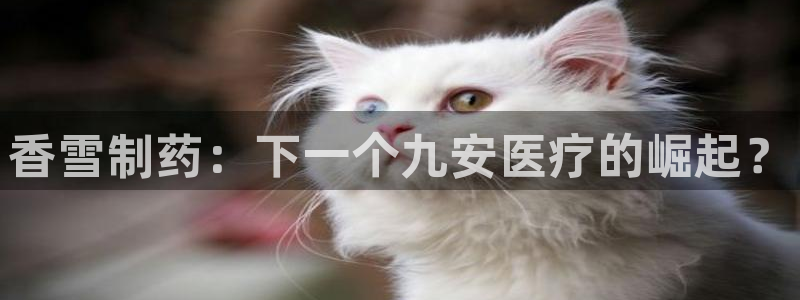 门徒娱乐总代理怎么样啊