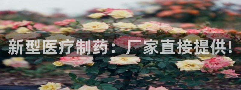 门徒娱乐充钱是真的吗