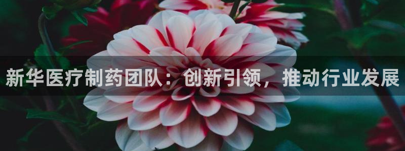 门徒娱乐是干啥的呀知乎
