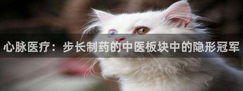 门徒第娱乐测速