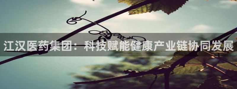 门徒娱乐网页版登录不了