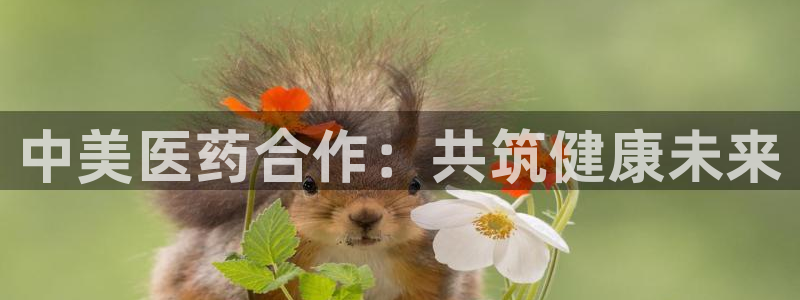 门徒娱乐公司介绍词