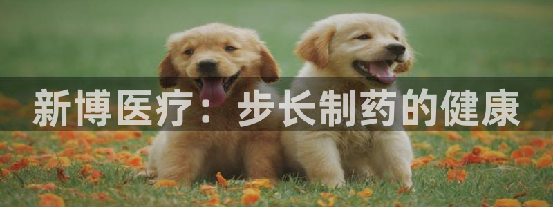 门徒娱乐在线登录官网