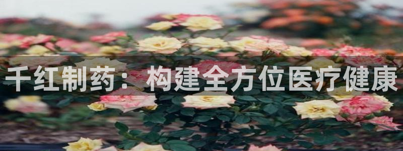 娱乐门徒 笔趣阁