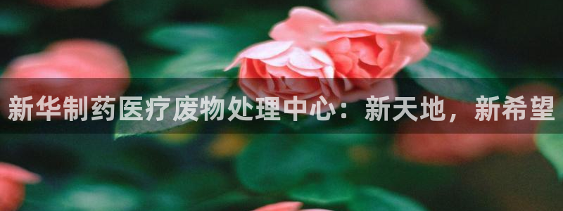 门徒娱乐平台代理登录网站