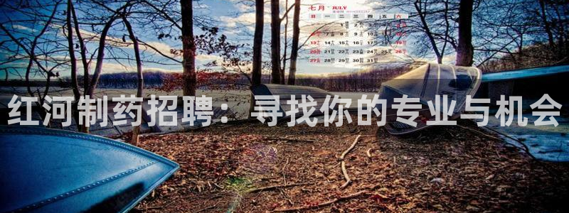 门徒娱乐最狠的三个平台是什么