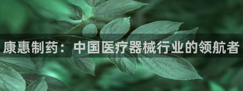 门徒娱乐项目介绍