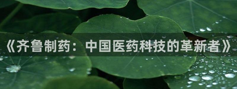 门徒娱乐网页版登录不上