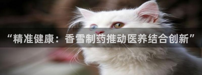 门徒娱乐开户月3900怎么算