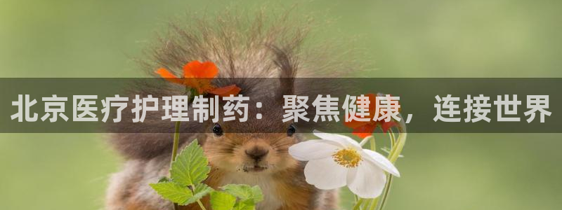 门徒娱乐圈主管报道